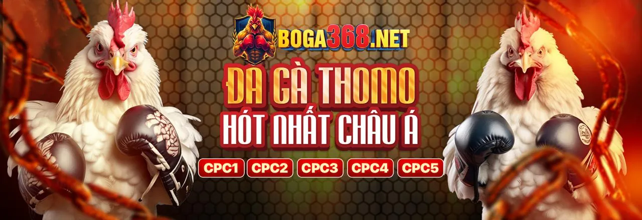 Sân đấu đá gà trực tuyến sôi động tại 999ok app